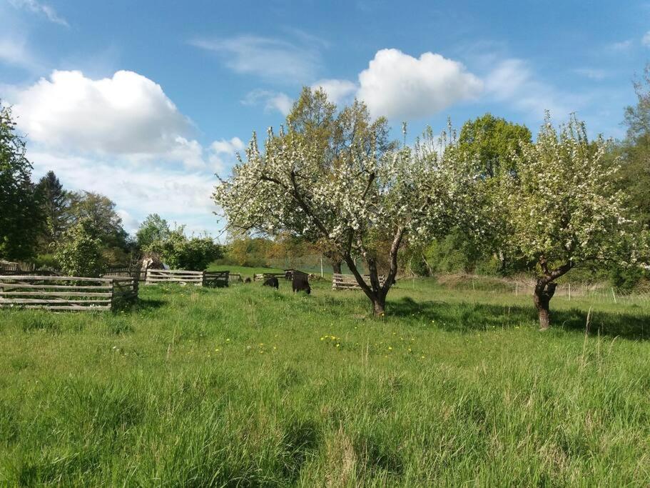 Moderne Wohnung Im Herzen Der Natur - Ingo'S Dream Babelin Εξωτερικό φωτογραφία
